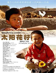 幸运玫瑰,周先生超宠我